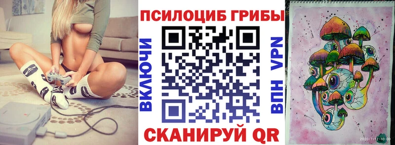 Псилоцибиновые грибы Cubensis  Калининск 